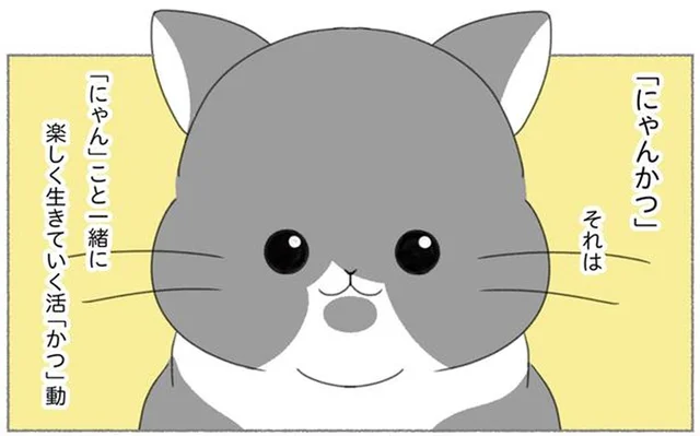 11匹の保護猫と暮らすにゃんかつファミリー。幸せなにゃんこが増えてほしい