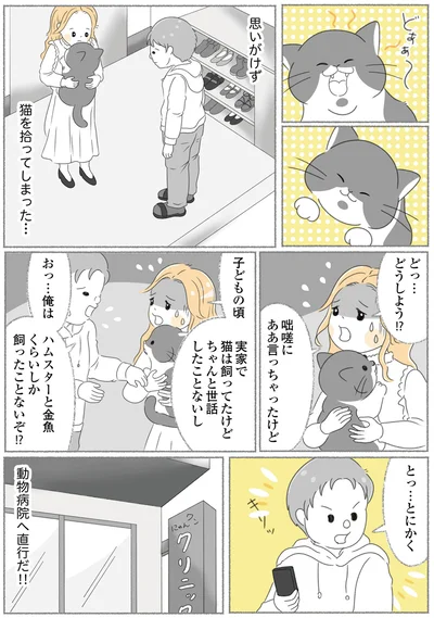 猫を拾ってしまった…