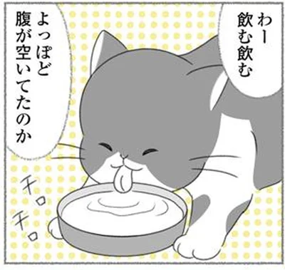 わー飲む飲む