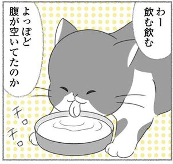 わー飲む飲む