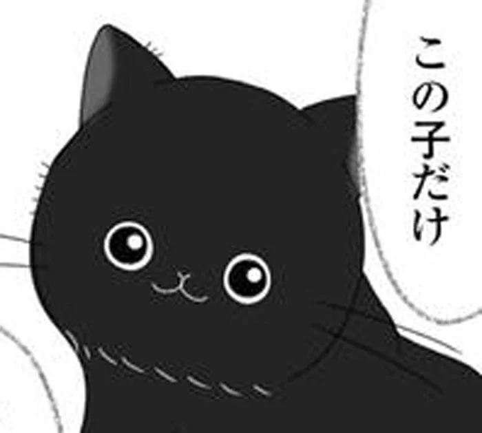 引き取り手が見つからず保健所行き!?我が家へやってくることになった子猫