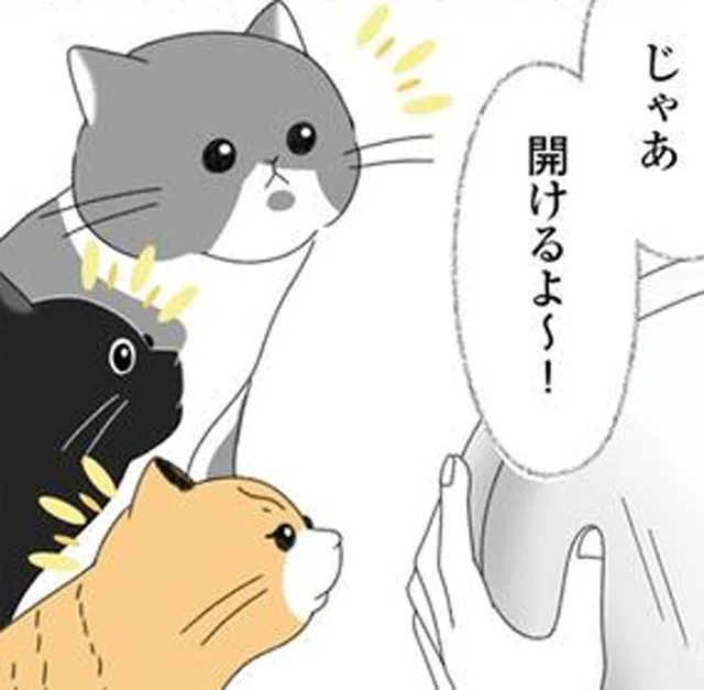 母親とはぐれた子猫が我が家へ。先住猫たちの反応にドキドキ！