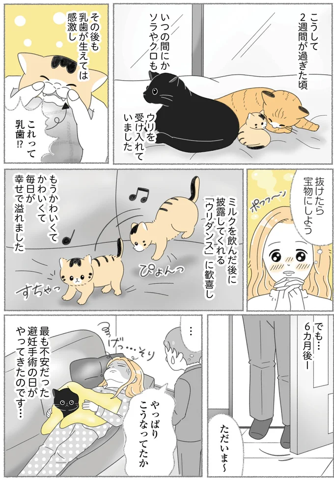 毎日が幸せで溢れました