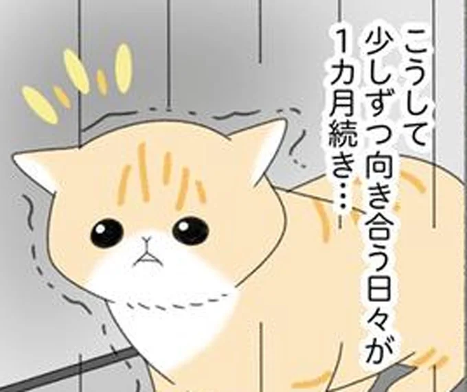 少しずつ向き合う日々