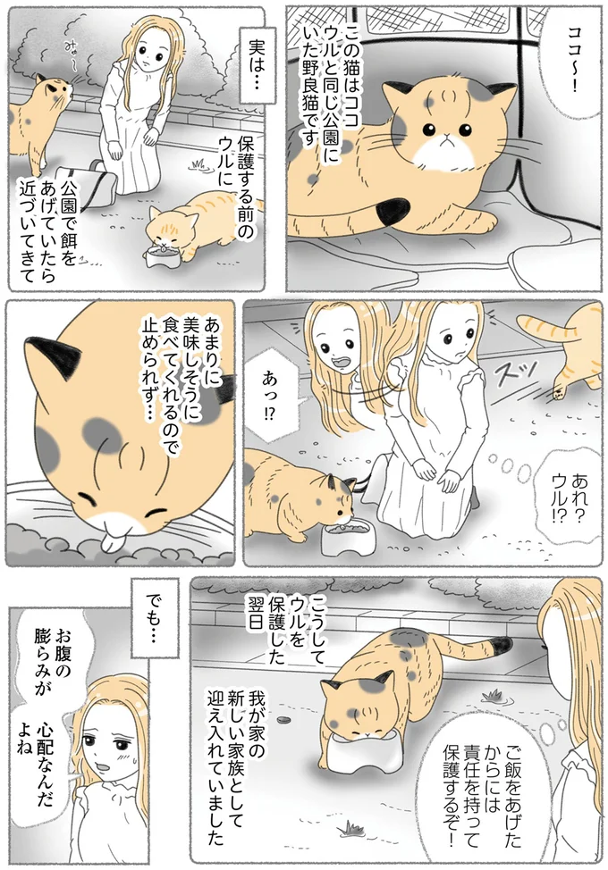 餌をあげていたら近づいてきて