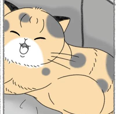お腹のふくらみが心配な猫
