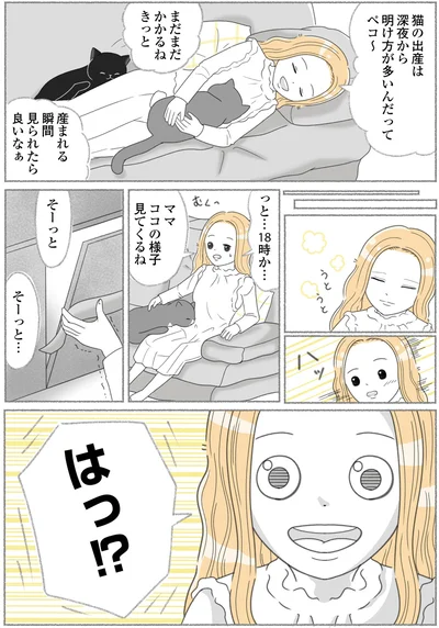 様子見てくるね