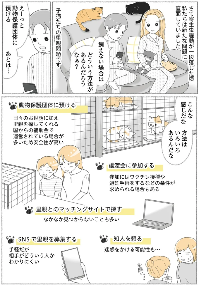 子猫たちの里親問題