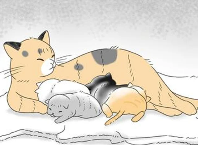 保護猫10匹を抱えるにゃんかつファミリー。子猫の里親探しを悩んだ末