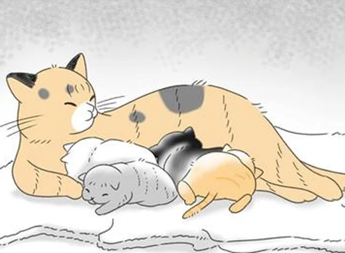 子猫の里親探しは…