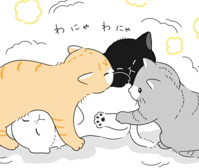 保護猫10匹との生活で部屋が手狭に。人生最大の買い物を決断！