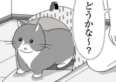 どうかな～？