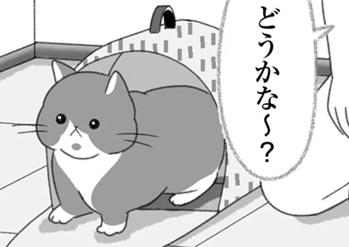 どうかな~?