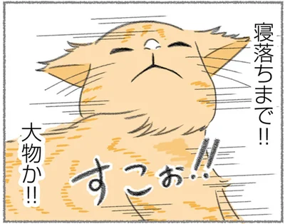 大物か！！
