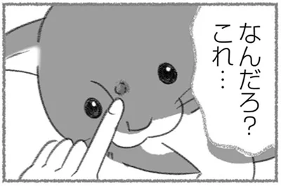 なんだろ？これ…