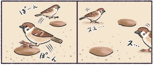 地面の穴で何をしているの？身近な鳥スズメの行動