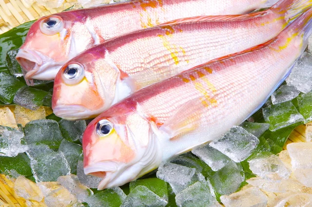 飯テロすぎる...。鉄腕ダッシュの“アマダイ飯”が見るからにうまそうと話題に