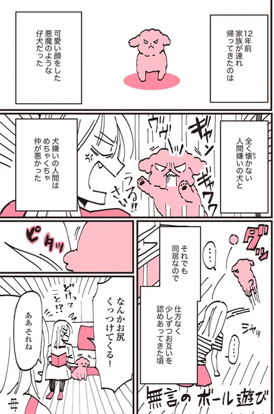 『うちのトイプーがアイドルすぎる。』より