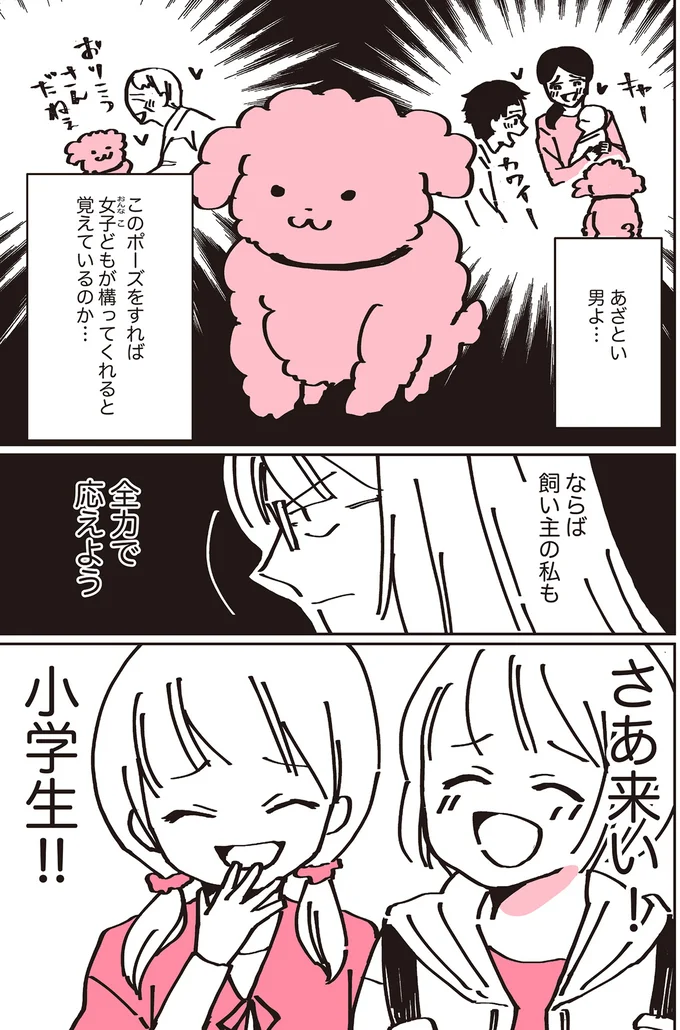 『うちのトイプーがアイドルすぎる。』より