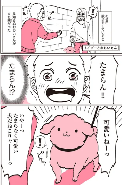 『うちのトイプーがアイドルすぎる。』より
