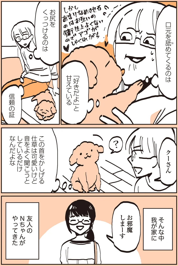 『うちのトイプーがアイドルすぎる。』より