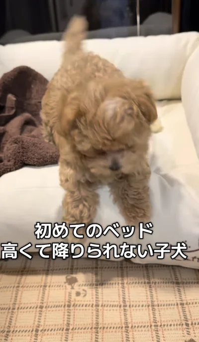 ベッドから降りてみる▶怖くなり…（⇒次へ）