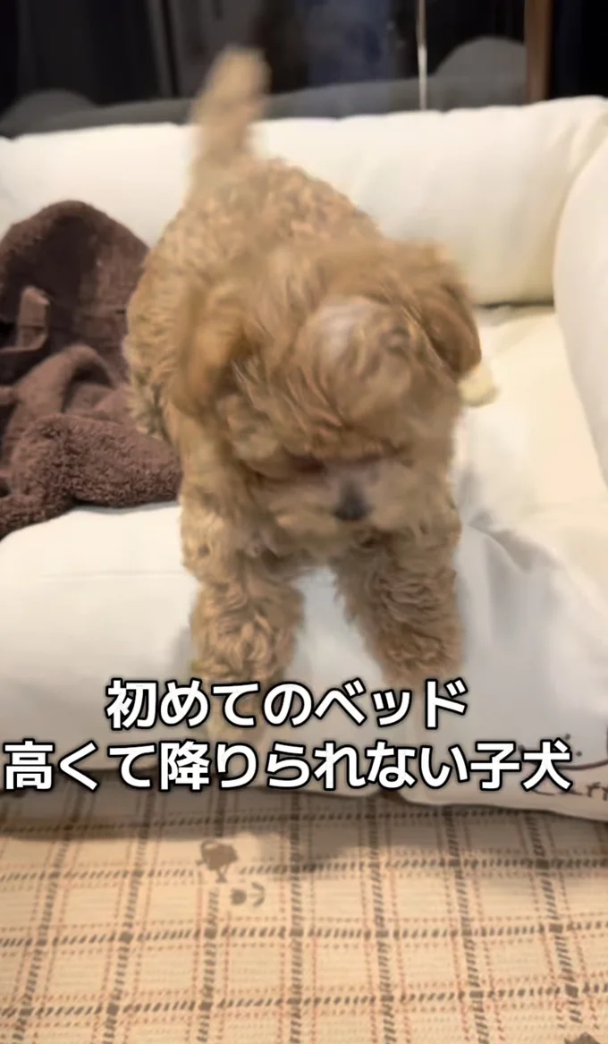 ベッドから降りてみる▶怖くなり…（⇒次へ）