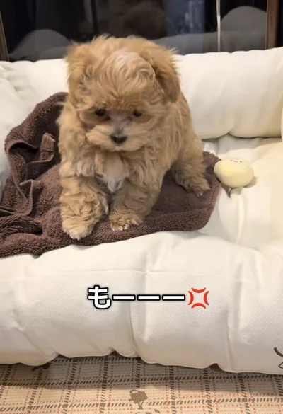 足をバタバタ▶見てないで助けて〜（⇒次へ）