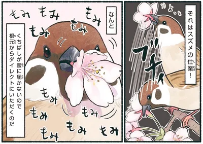 それはスズメの仕業！