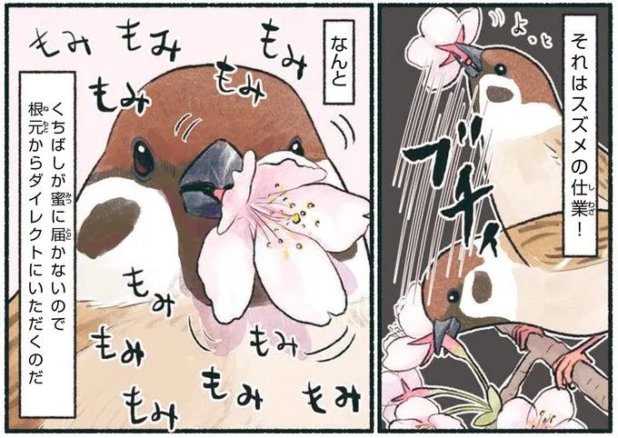 それはスズメの仕業!