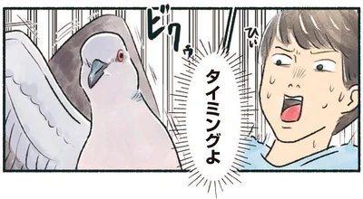 タイミングよ