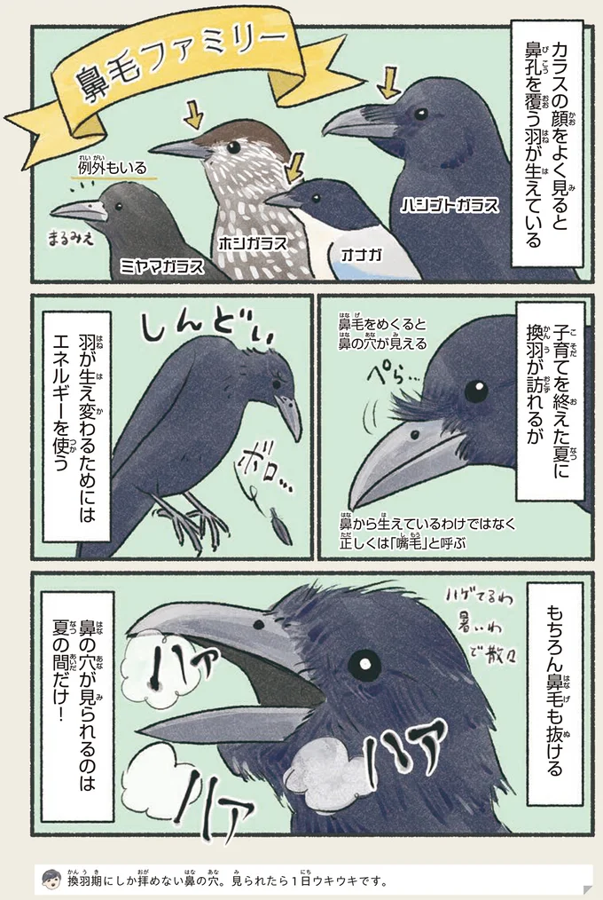もちろん鼻毛も抜ける