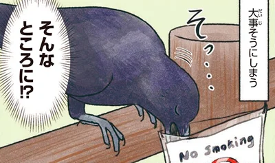 大事そうにしまう