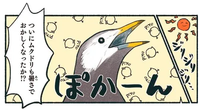 ぽかーん