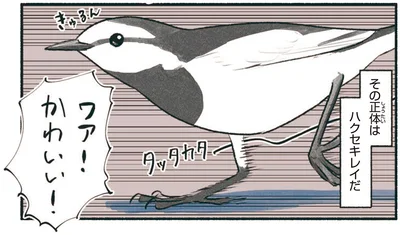 ワァ！かわいい！