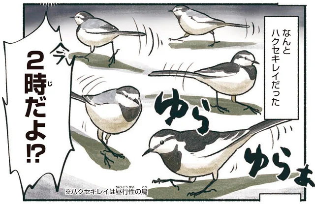 深夜2時、ガソリンスタンドに鳥の集団！？ハクセキレイは何している？