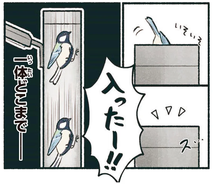 入ったー!!