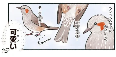 可愛い