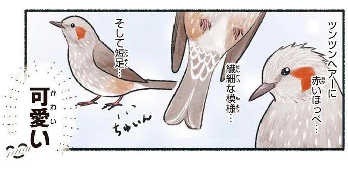 可愛い