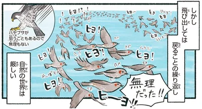 自然の世界は厳しい