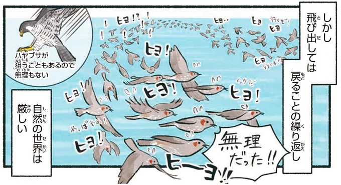 自然の世界は厳しい