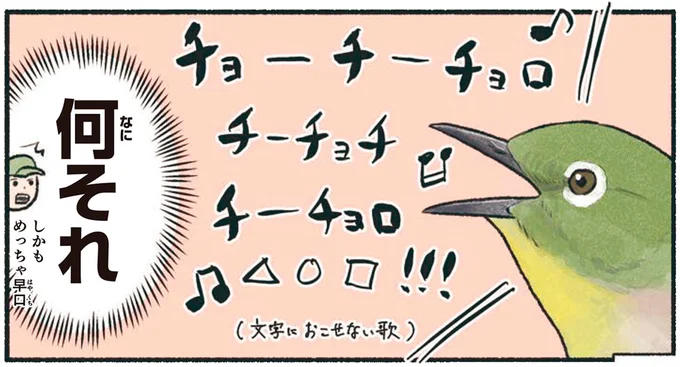 何それ