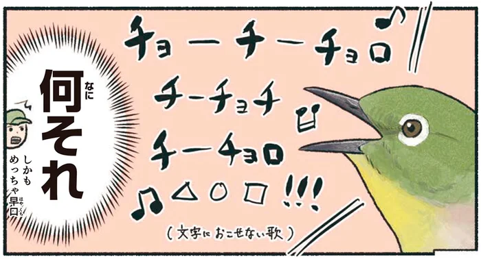 ホーホケキョって鳴かないの！？ウグイスに間違えられがちな鳥