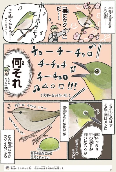 「梅にウグイス」だ…！
