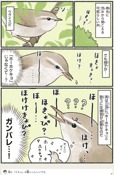 「ホーホケキョ」じゃなくて…？