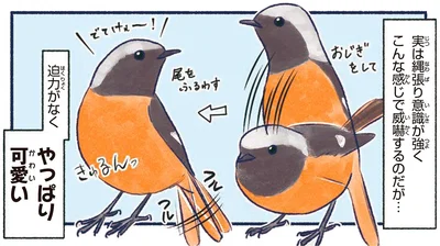やっぱり可愛い
