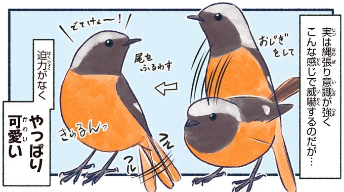 やっぱり可愛い