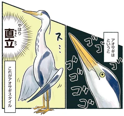これがアオサギスタイル