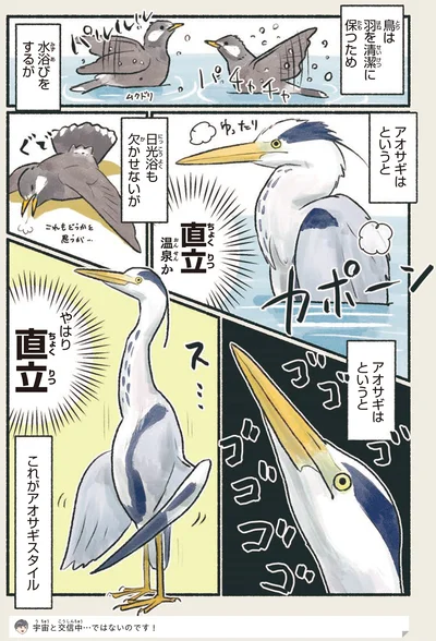 やはり直立