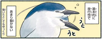 あまり動かない